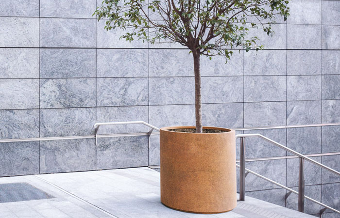 Kaupungin istutukset